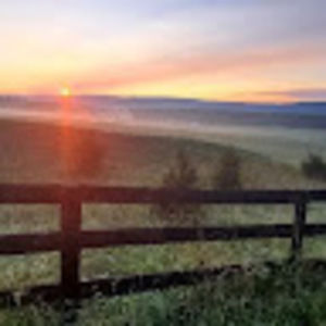 Meet your Posher, Joseph